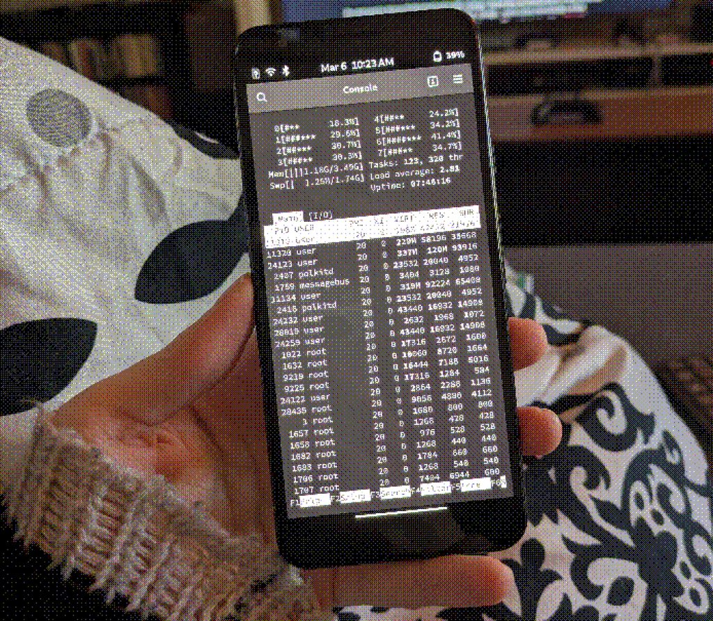 A Google Pixel 3 running Linux.